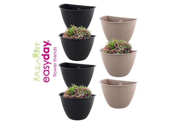 Easyday Dijon Wall Basket Cm Mix Set Pcs Products