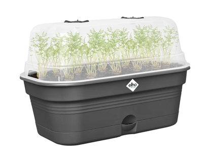 Elho - Green Basics - Grow Tray All-In-1 - L - Living Black