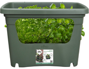 Elho - Green Basics Stack & Grow