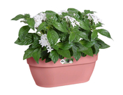 Elho - Vibia Campana - Wall Basket - 35 Cm - Powder Pink