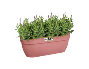 Elho - Vibia Campana - Easy Hanger - Large - Powder Pink