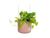 Elho - B. For Swing - 18 Cm - Delicate Pink