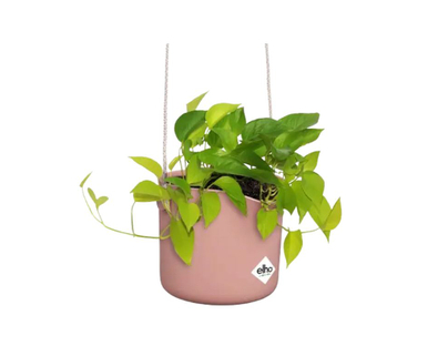 Elho - B. For Swing - 18 Cm - Delicate Pink