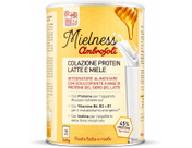 Mielness - Desayuno proteico con leche y miel, 260 g