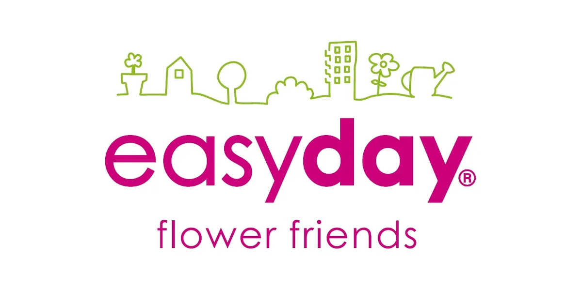 Easyday | Brands of WeStocklots – Buy branded Stocklots online | B2B ...