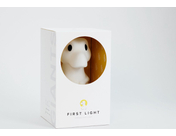 Mr Maria - Rena First Light - Dinosaurus