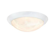 Westinghouse 61066 - Flush Mount-Deckenleuchte