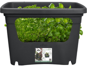 Elho - Pila Green Basics & Cultivo